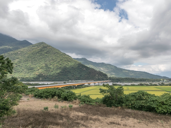 雜木環繞的稻田容易有猴害。(示意圖片)